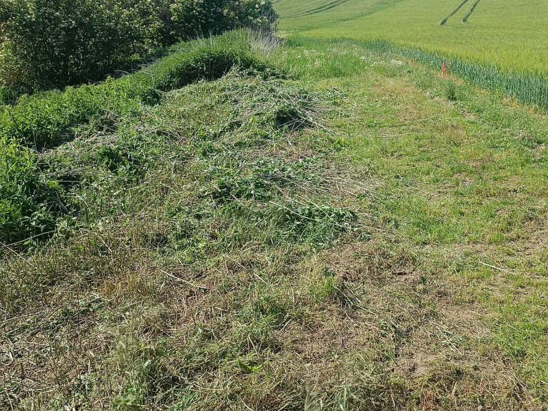 Pronájem pozemků na glamping