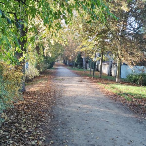 Adventní Louny a České Středohoří