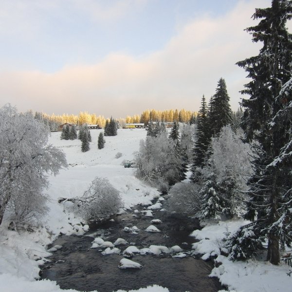 Zimní Šumava