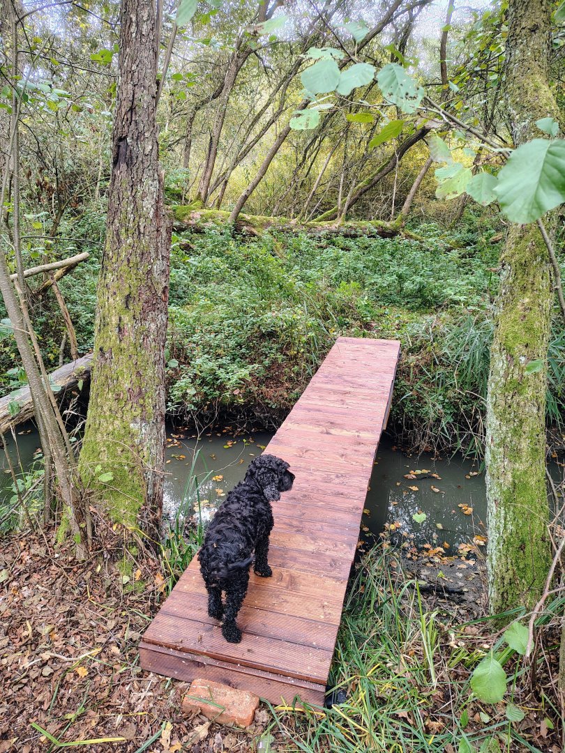 Nový most přes vodní náhon 