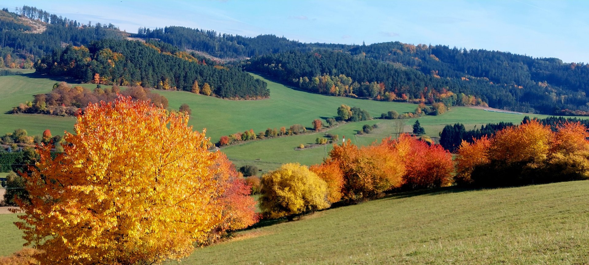 Das muss man gesehen haben.