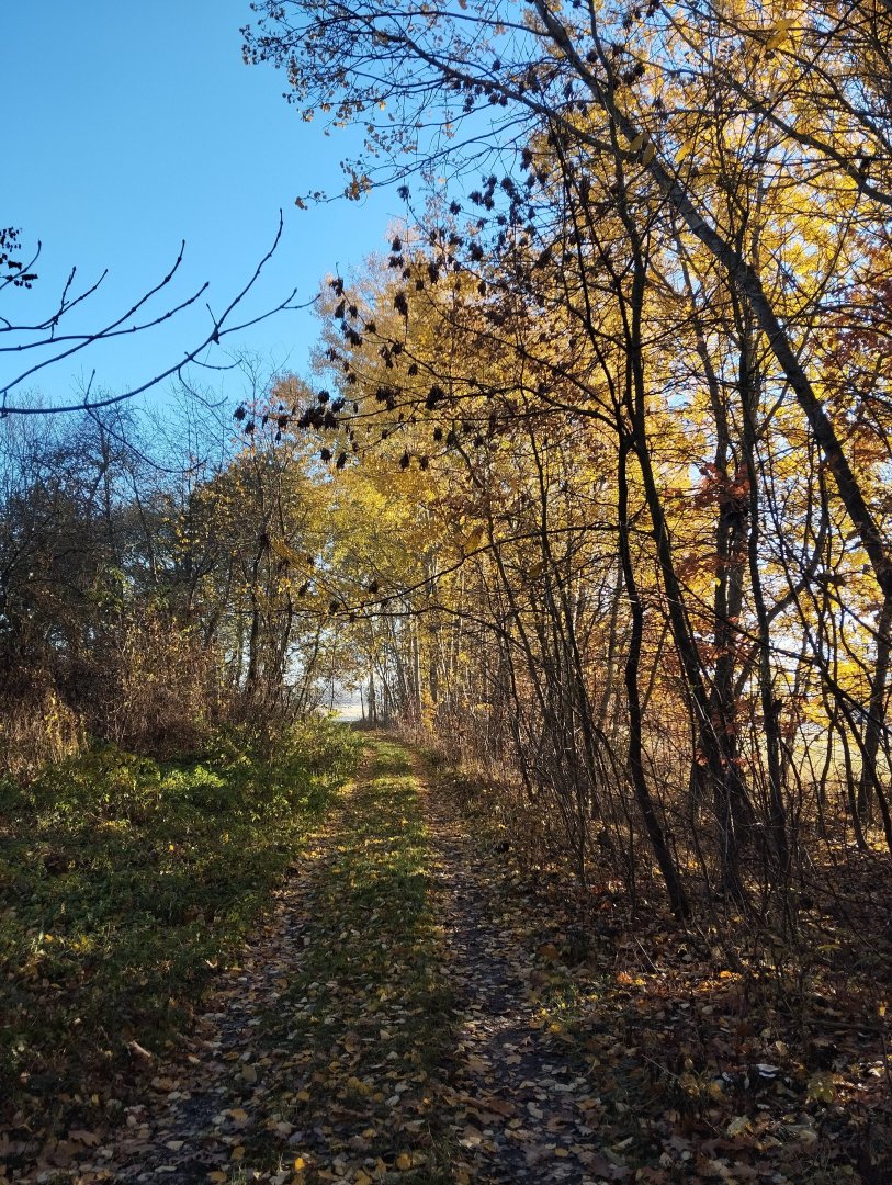 Kolorowa jesień i ciepło w jurcie ze zniżką
