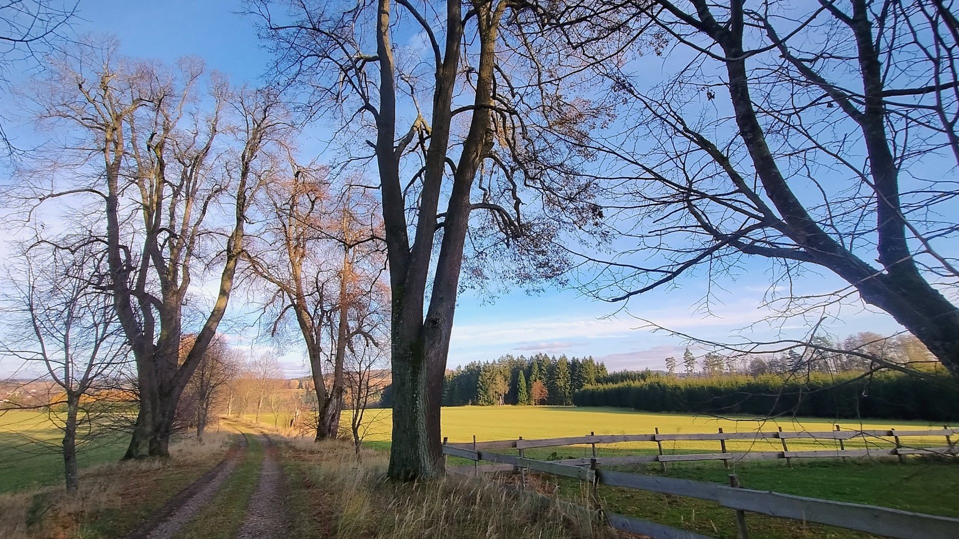 Jesień w Krásněves