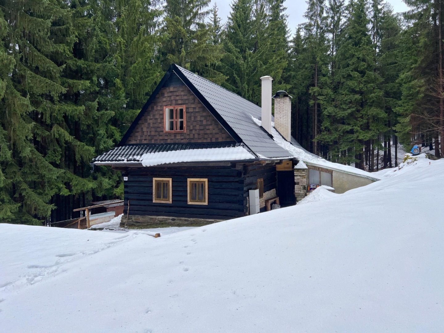 plenty of snow for bobsledding
