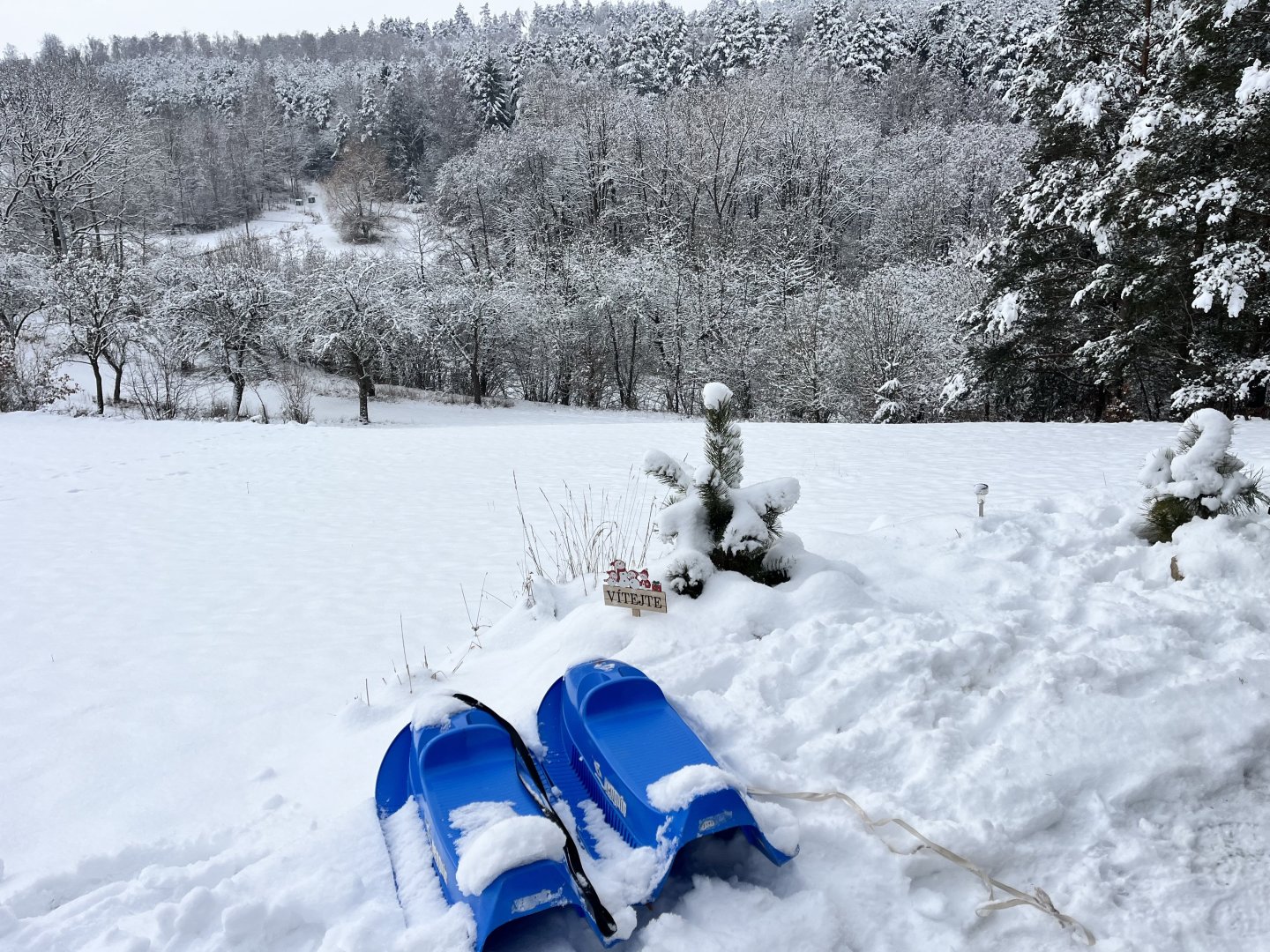 Spring Break ❄️❄️