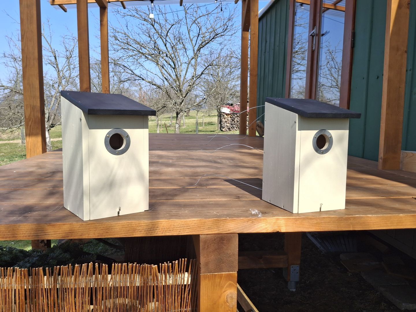 PTAČÍ BUDKY V SADU