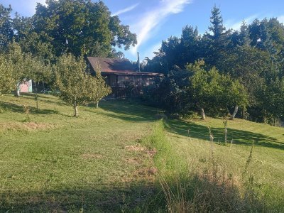 Freshly mowed!