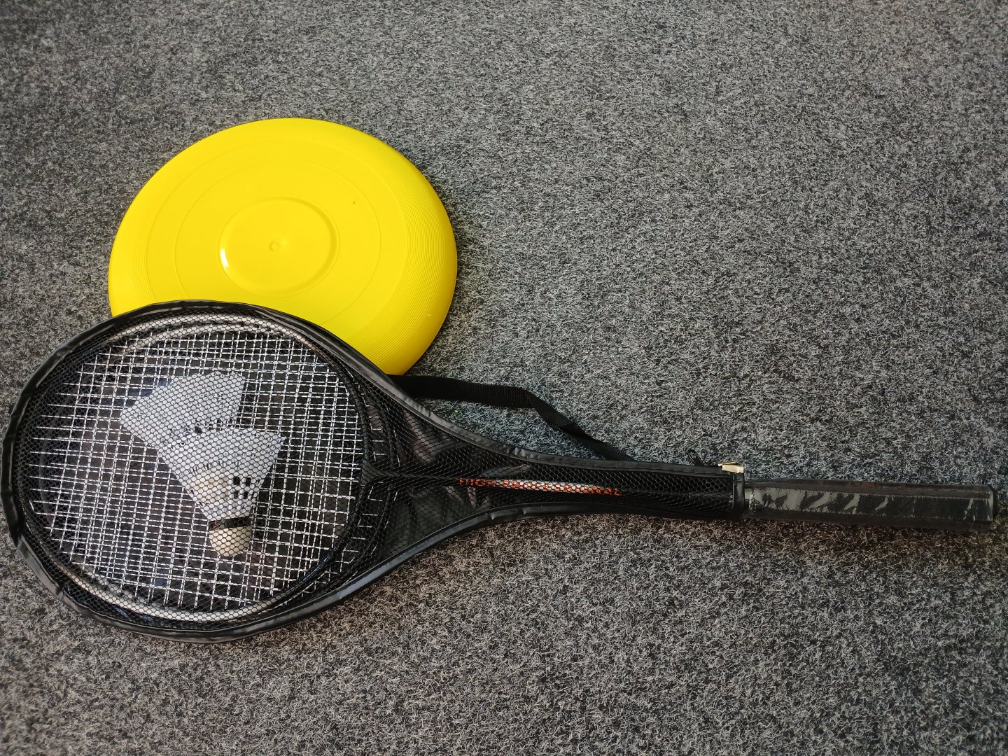Sport 