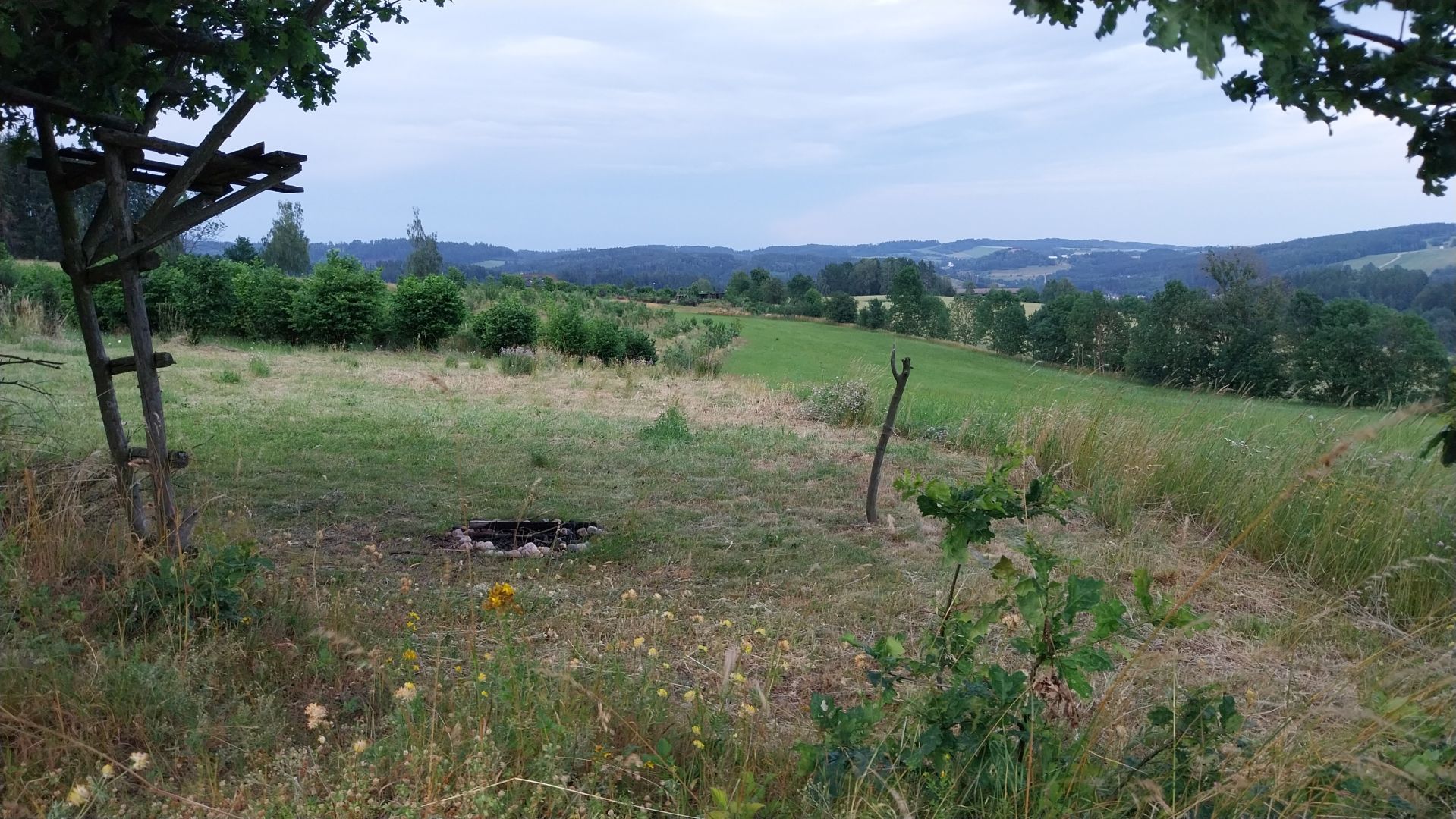 Freshly mowed