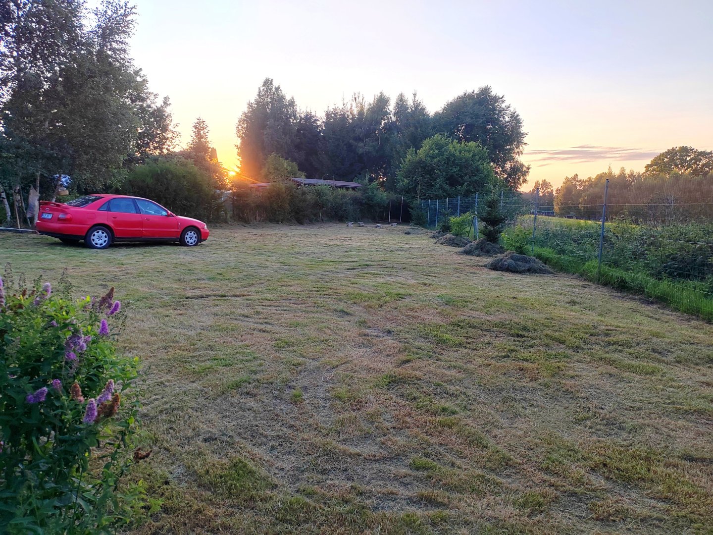 Freshly mowed :-) 