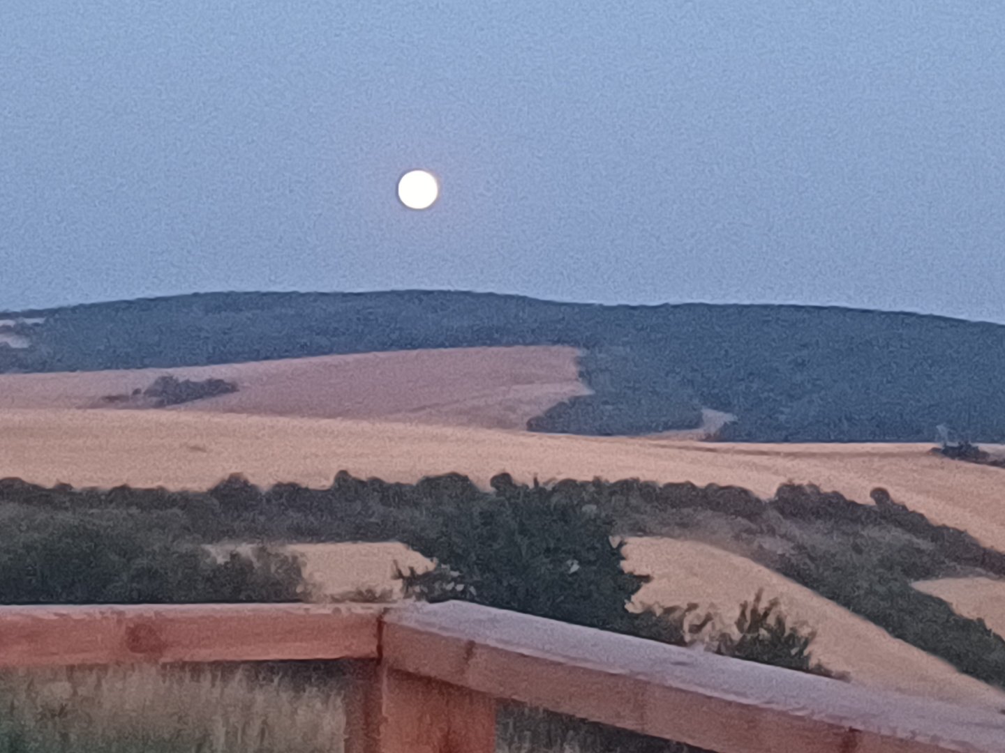 Moonrise 