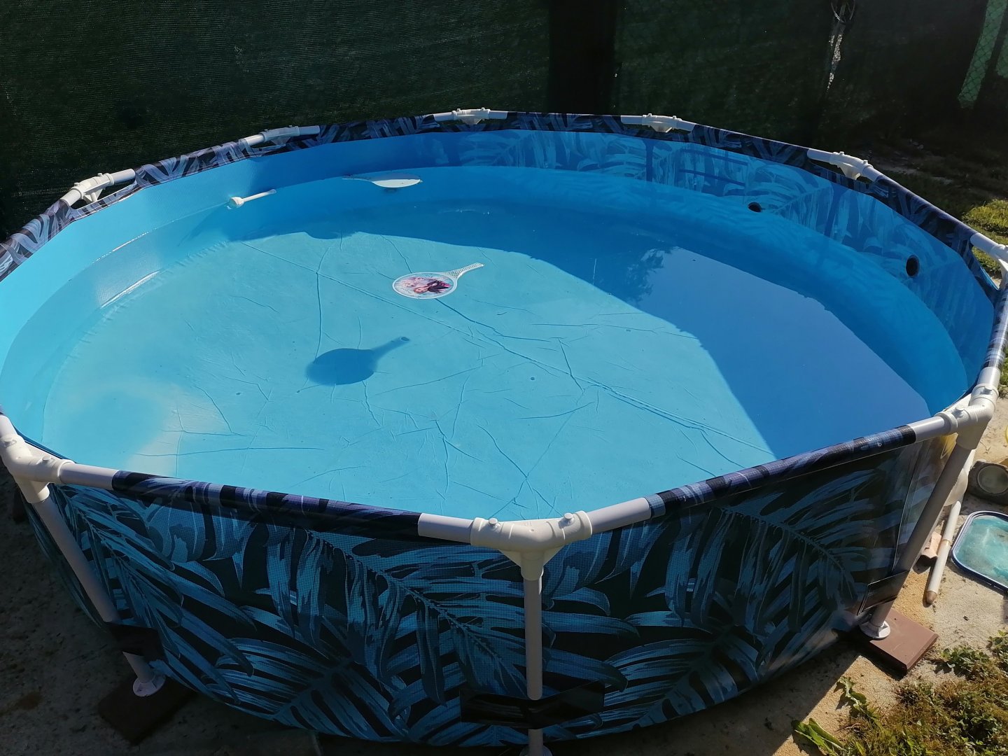 Freshwater Pool 