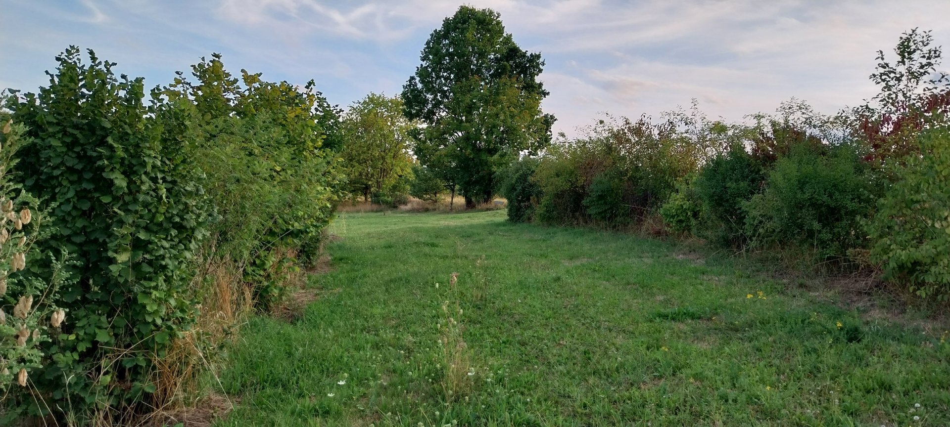 Current Status of the Property