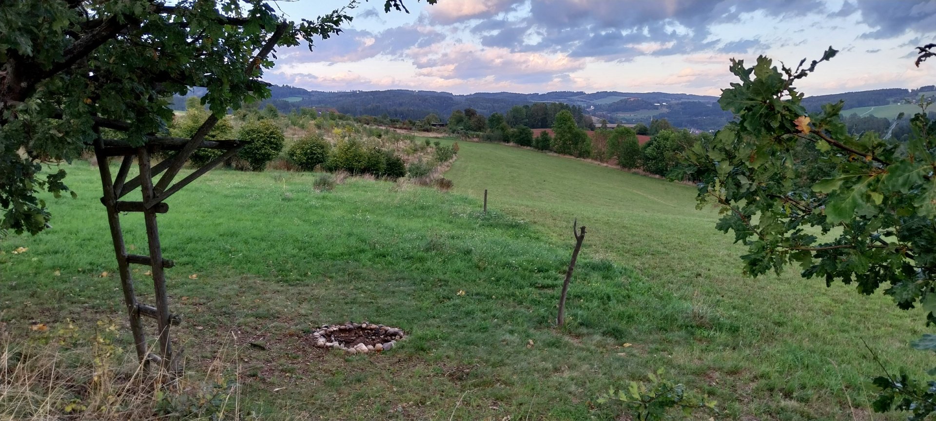 Current Status of the Property