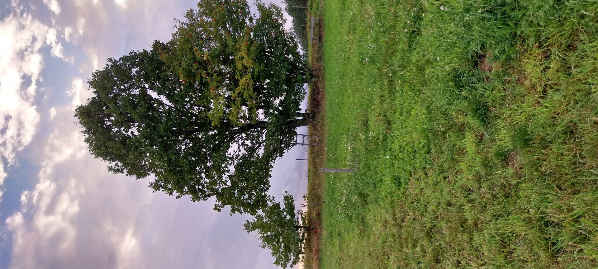 A current view of the lot from the other side