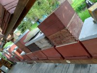 Arbeit im Bienenstock