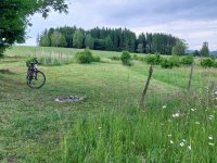 Świeżo skoszona działka