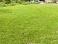Gras mähen