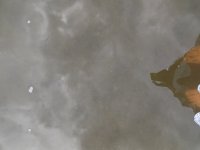 Apollo