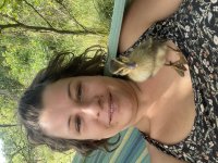 Ducklings and lambs were born!
