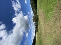 Beautifully mowed