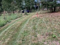 Mowed
