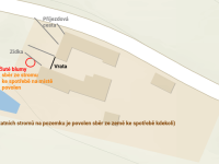 Śliwki i inne owoce za darmo dla gości