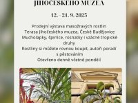 Interesting event in the surroundings
