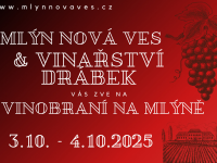 Degustacja wina, burbona i sera