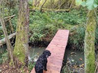 New bridge over the water embankment