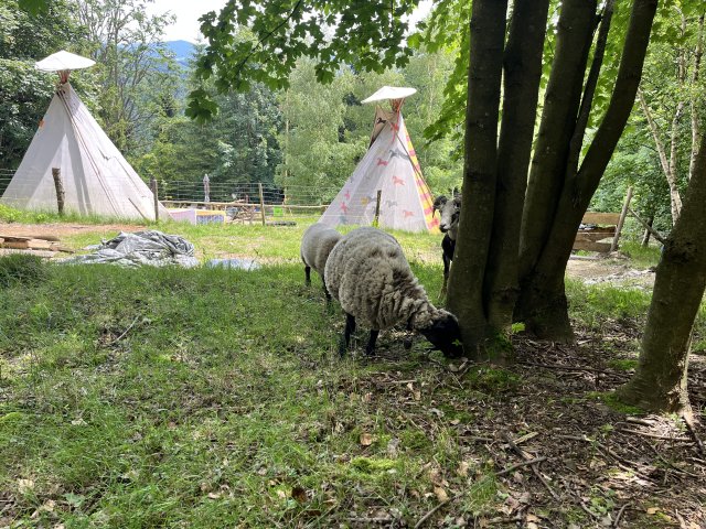 Wildcampen in TEEPEE mit Feuerstelle im Zelt | de.campu.eu